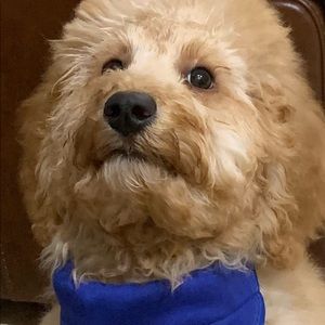 Meet your Posher, Jeffrey